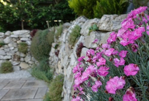 Gartenanlage in Karben